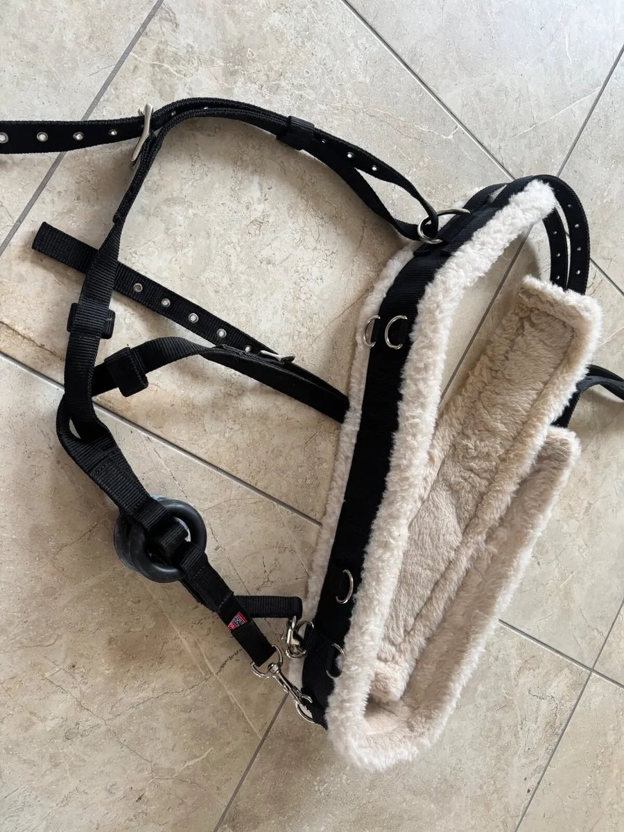 Full size shires roller & side reins - Image 3
