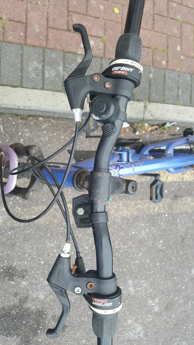 Bicycle - Image 3