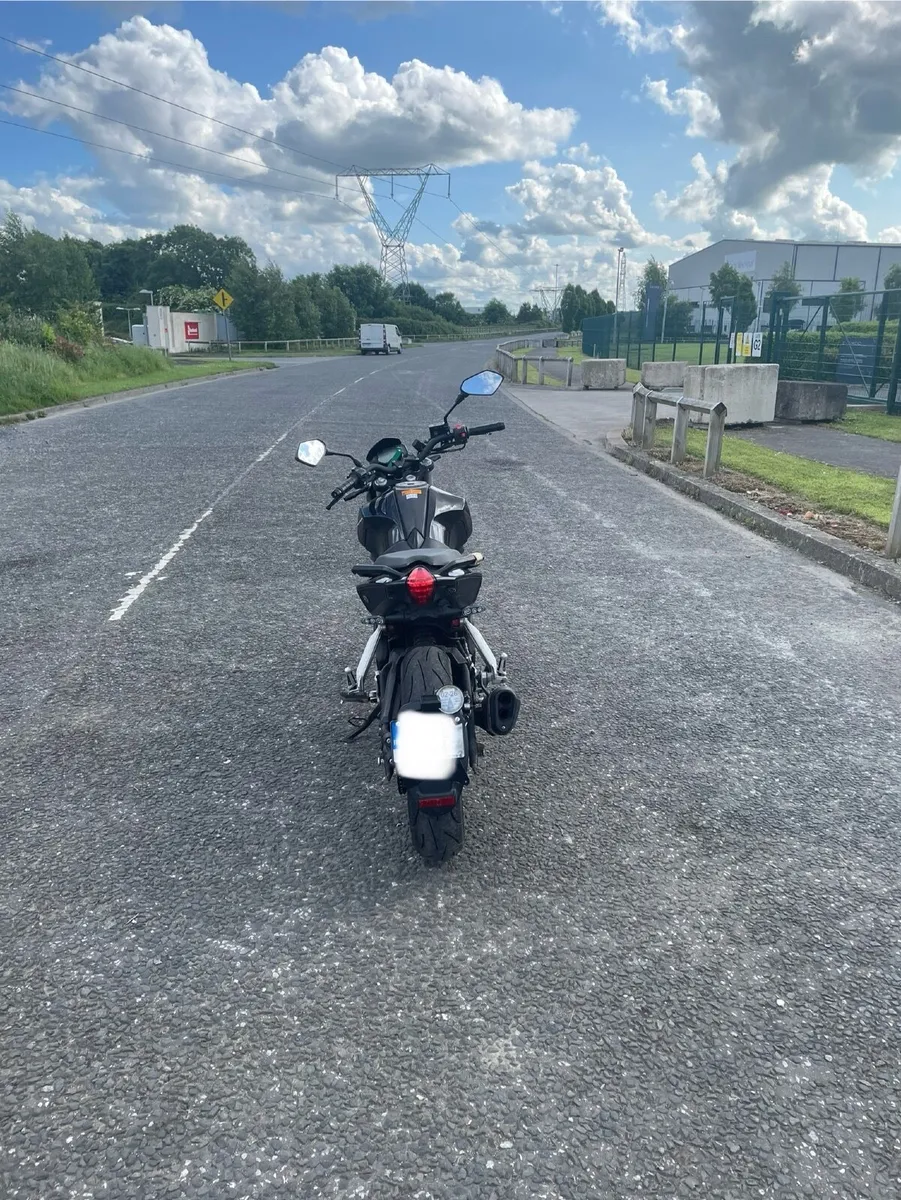BENELLI Other 2021 - Image 1