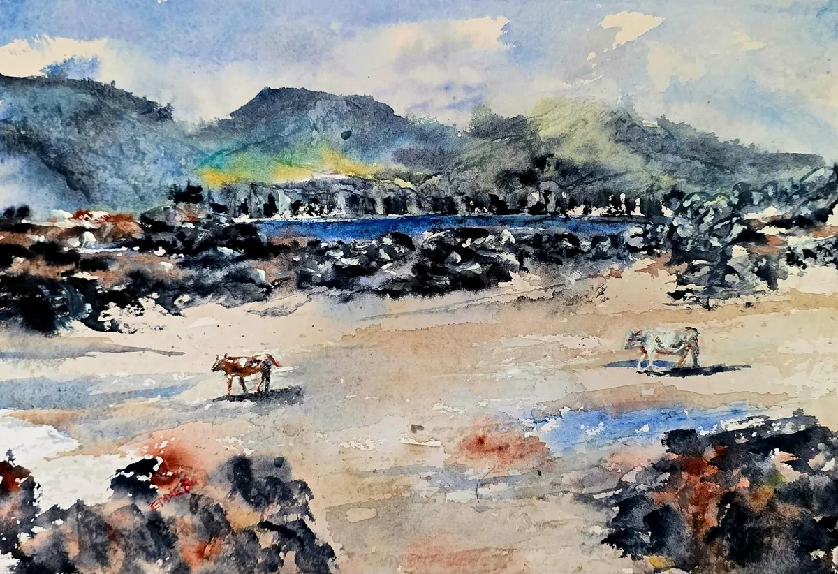 watercolours  various - Image 4