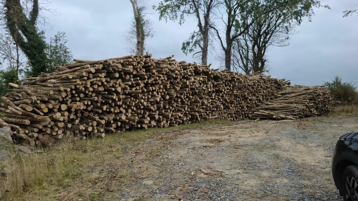 Firewood processor - Image 1