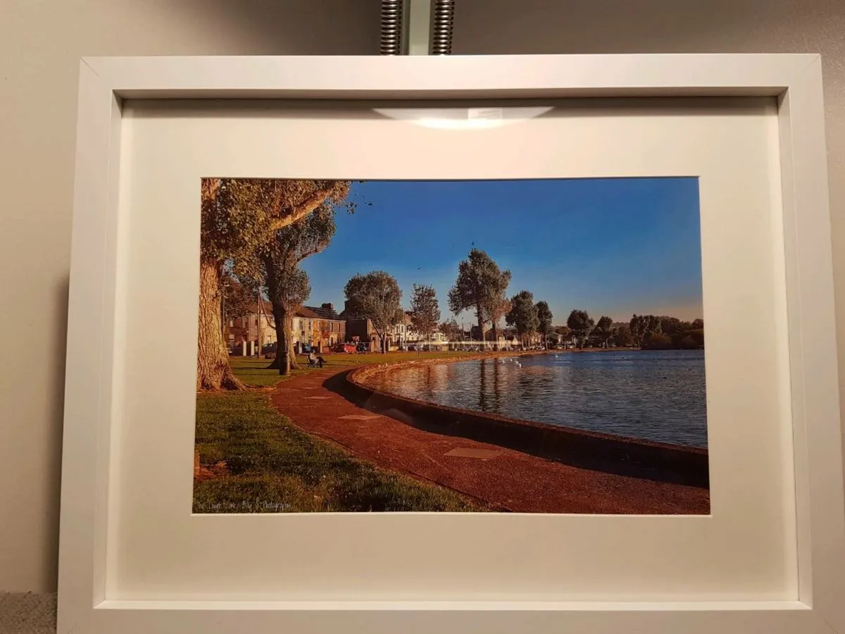 The Lough, Cork - Image 3