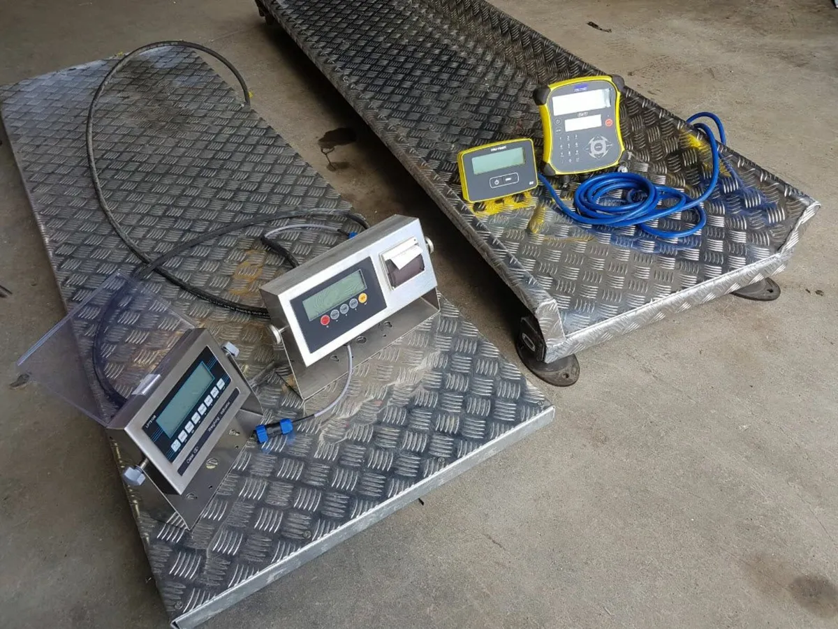 New platform scales