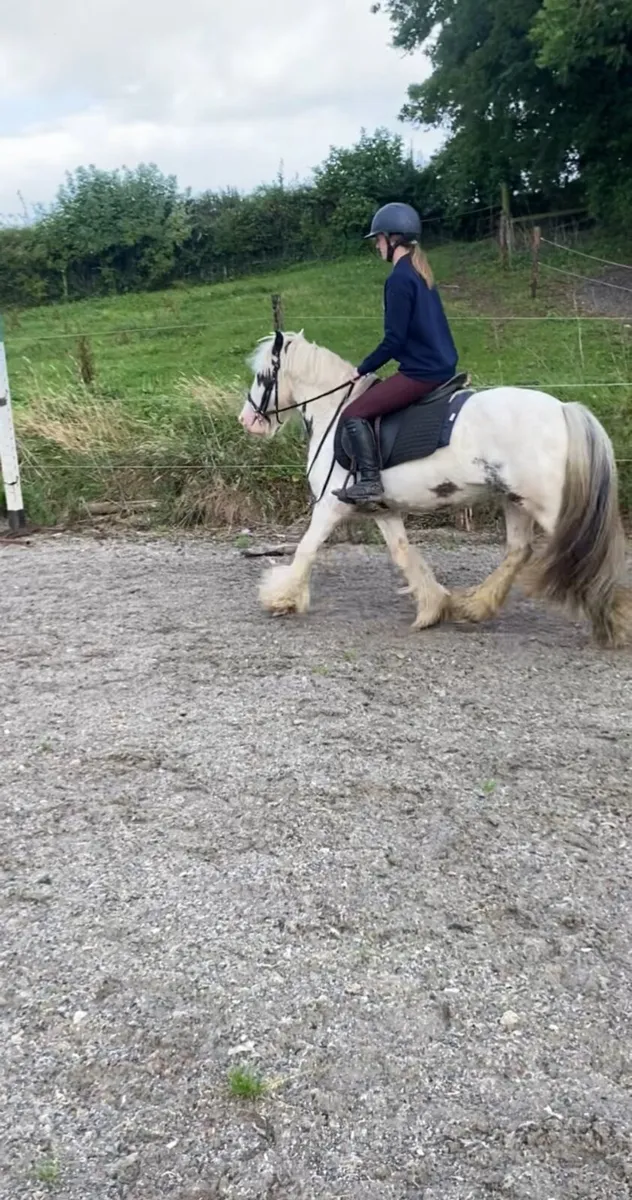 Pony - Image 1