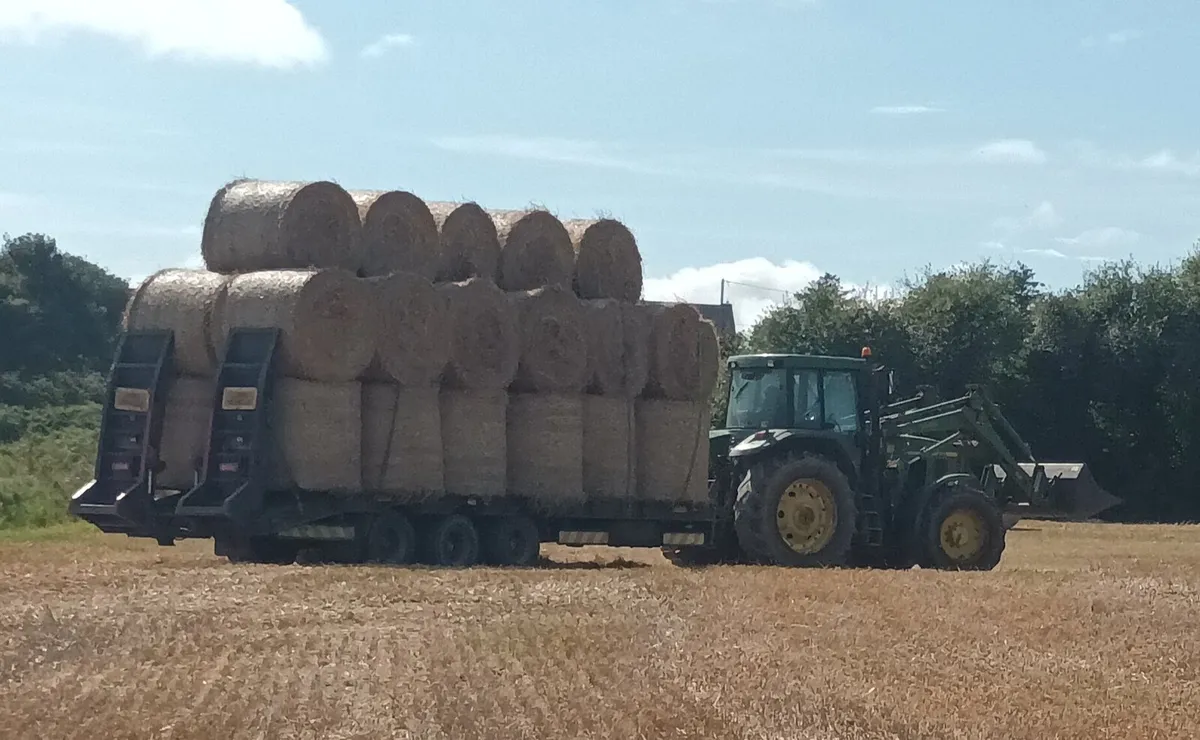 Straw