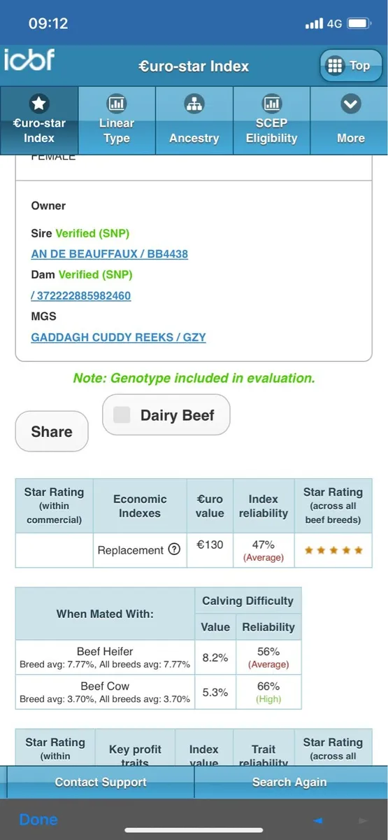 Super BB Breeding Heifer For Skibb Show And Sale - Image 2