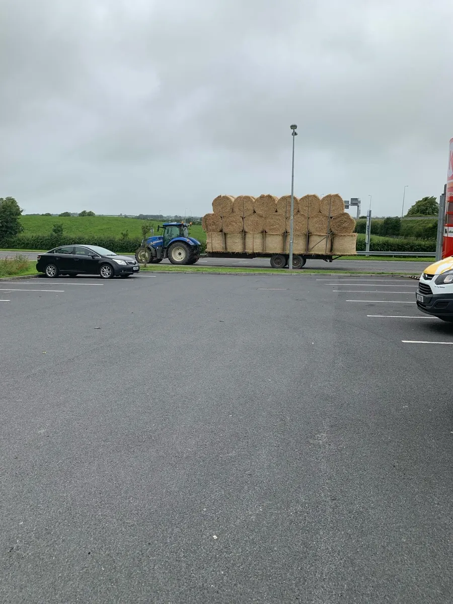 2025  barley  straw Hay - Image 1