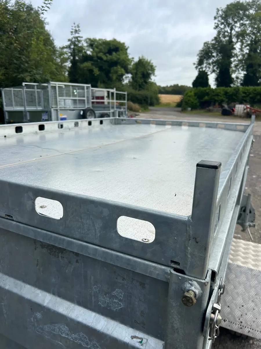 2024 Ifor Williams 8x5 Braked Single Axle Trailer - Image 3