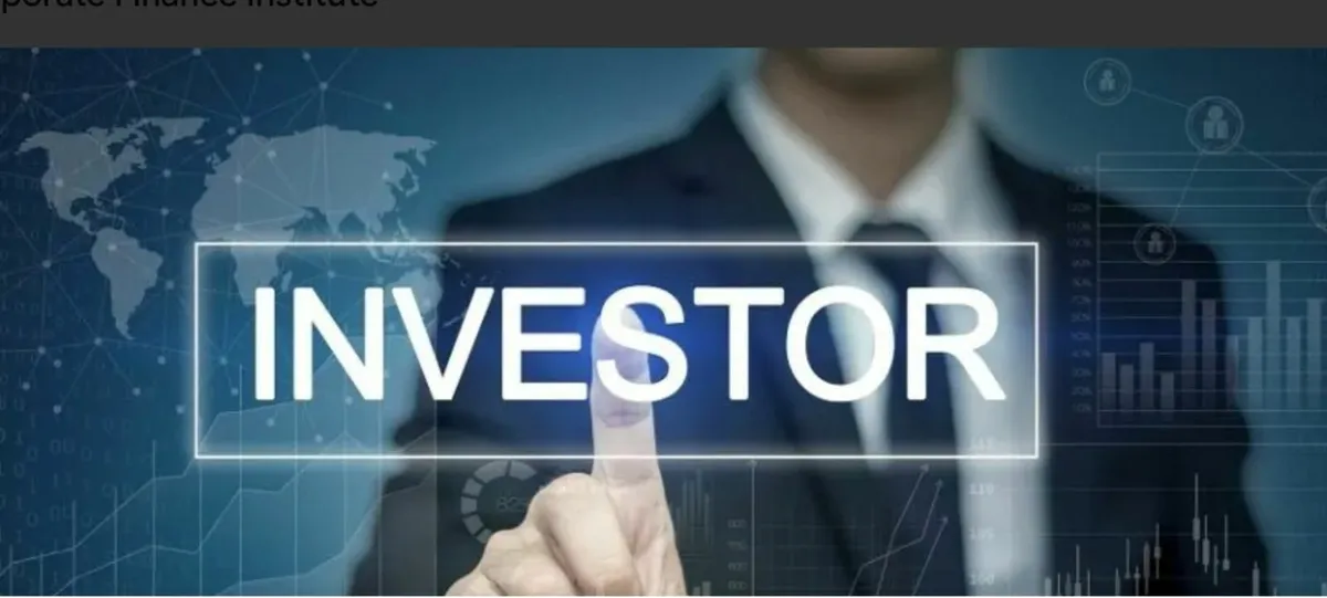 invester /partner - Image 1