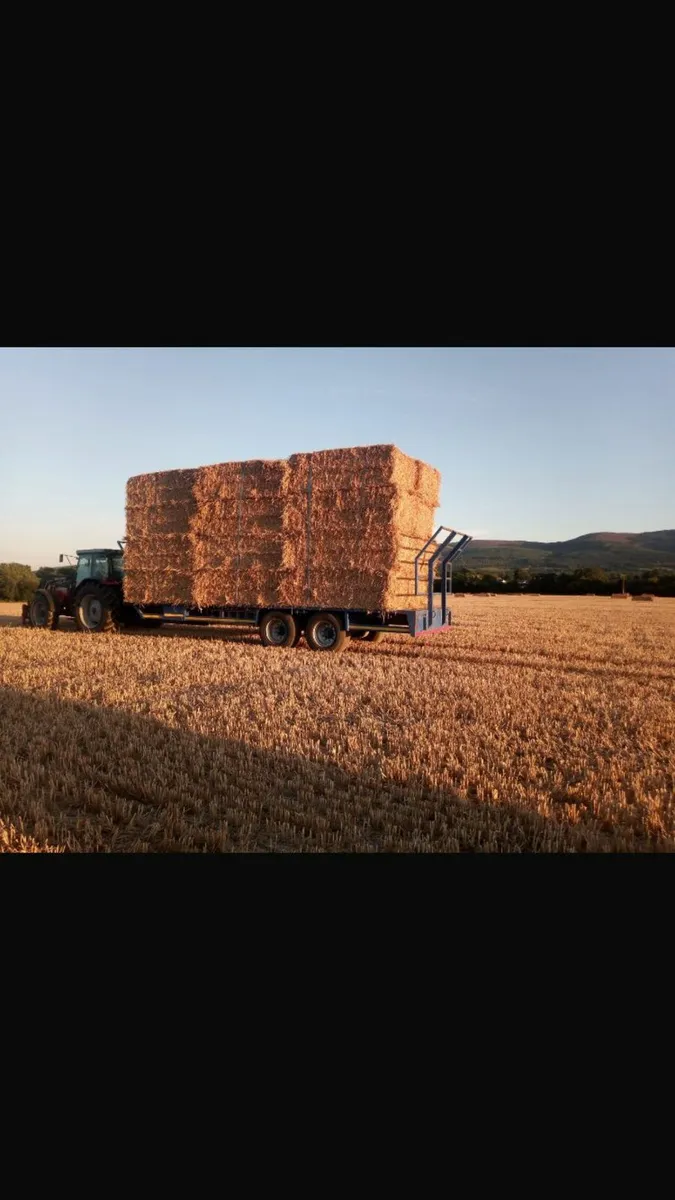 Big Square Bales Wheaten Straw - Image 1