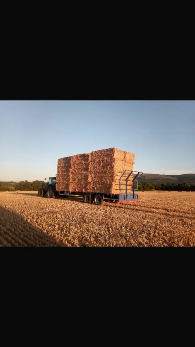 Big Square Bales Wheaten Straw - Image 2