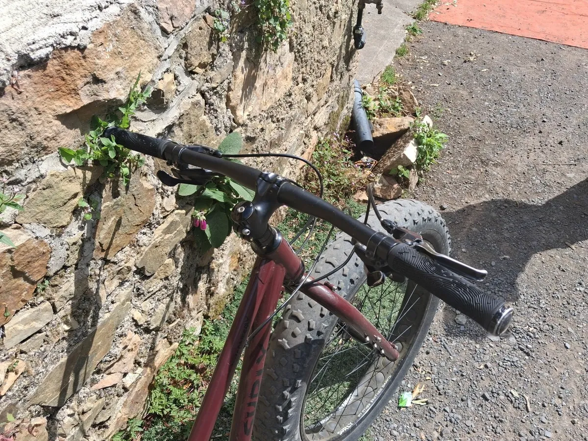 Online Auction Of A Surly Wednesday bike - Image 3