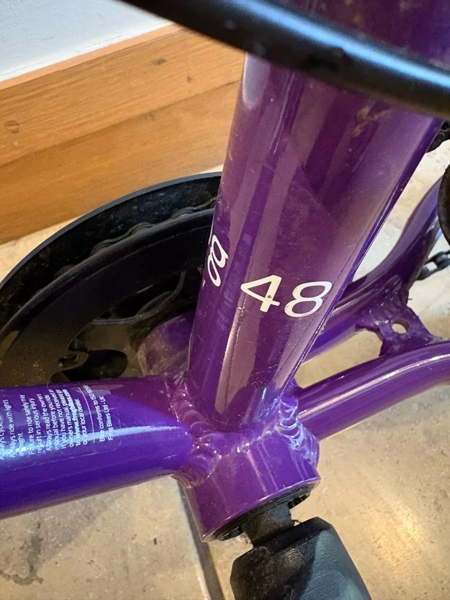 Frog bike - Image 3