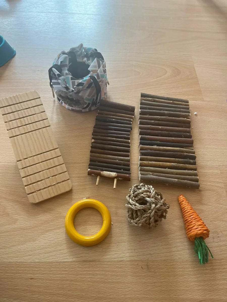 Hamster necessities plus accessories - Image 2