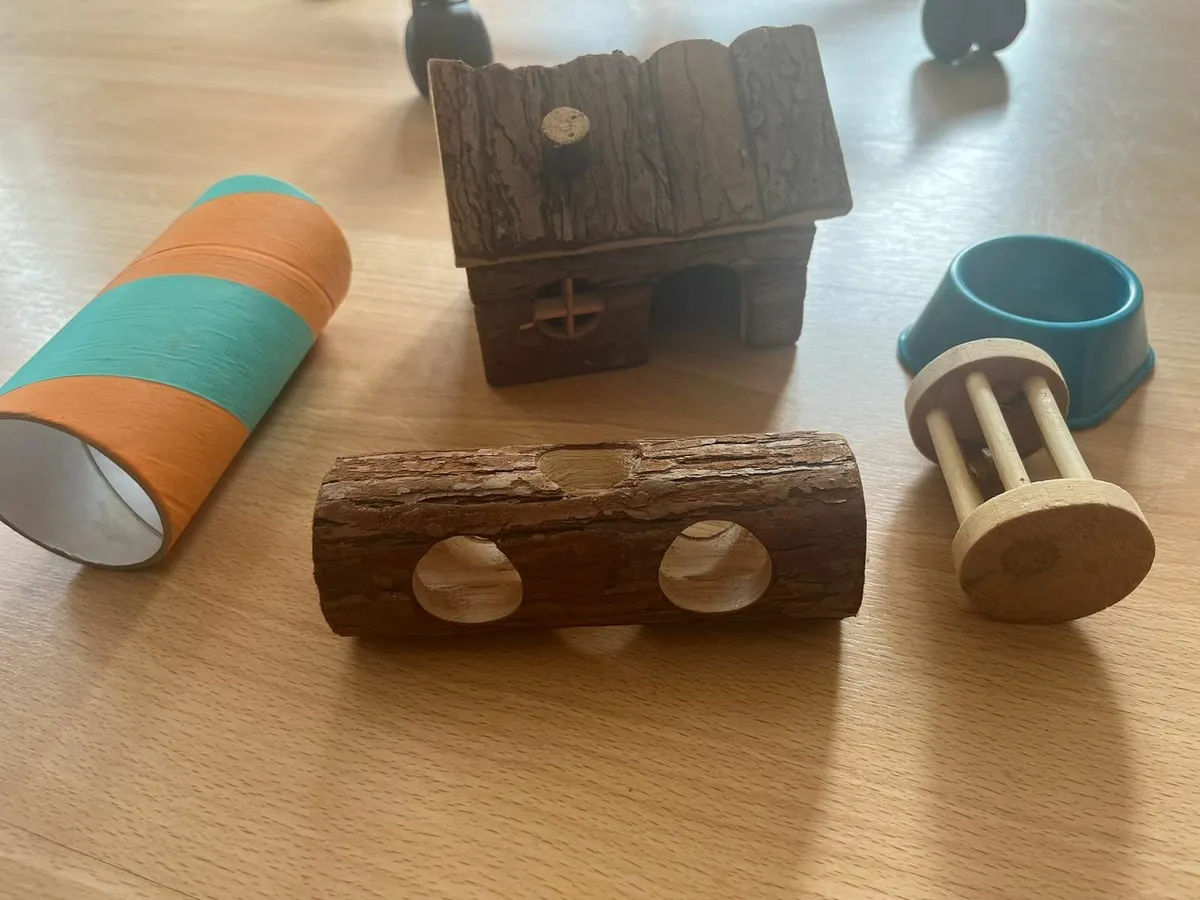 Hamster necessities plus accessories - Image 1