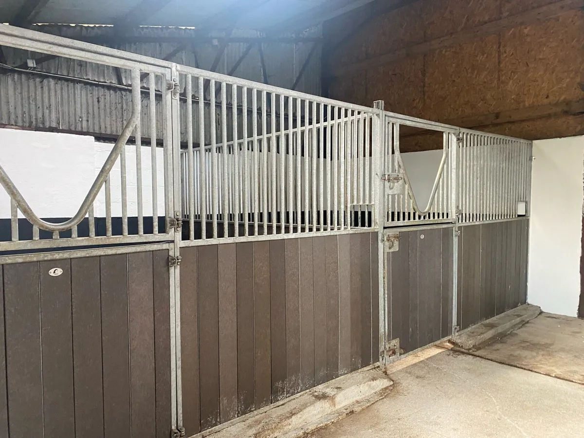 Stable for Rent- Ponies or Horses No Thoroughbred - Image 2