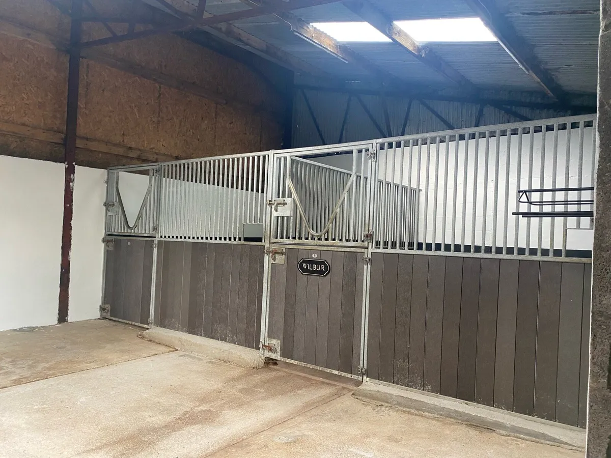 Stable for Rent- Ponies or Horses No Thoroughbred - Image 3