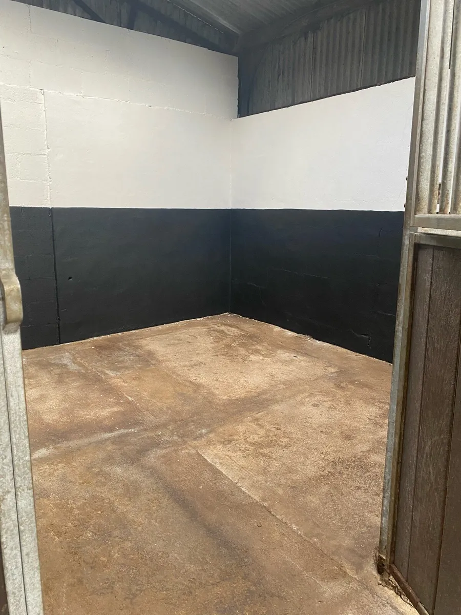 Stable for Rent- Ponies or Horses No Thoroughbred - Image 4