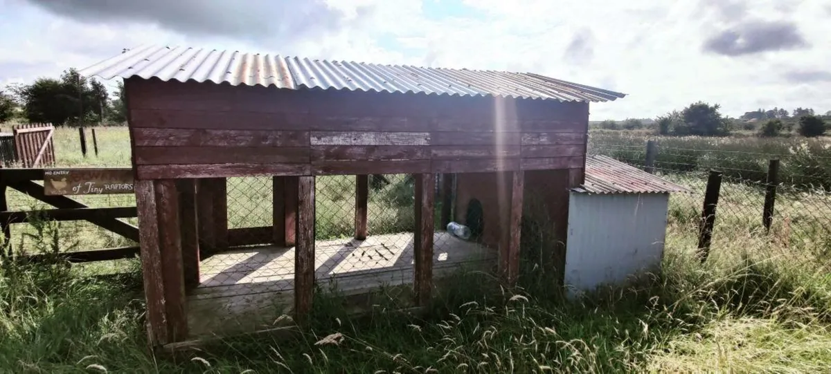 Chicken Coops and Sheds - Image 1