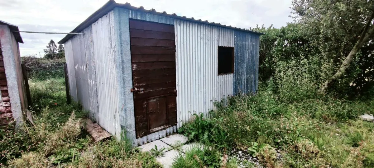 Chicken Coops and Sheds - Image 4
