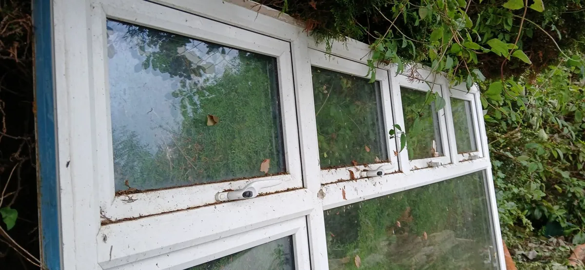 Windows - Image 1
