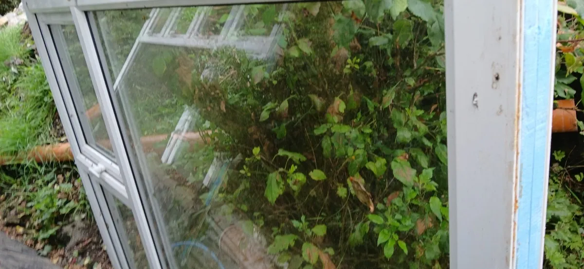 Windows - Image 2