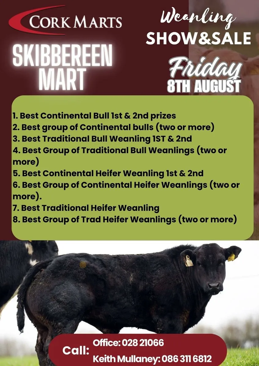 Show & Sale Friday 8th of August Skibbereen Mart - Image 1