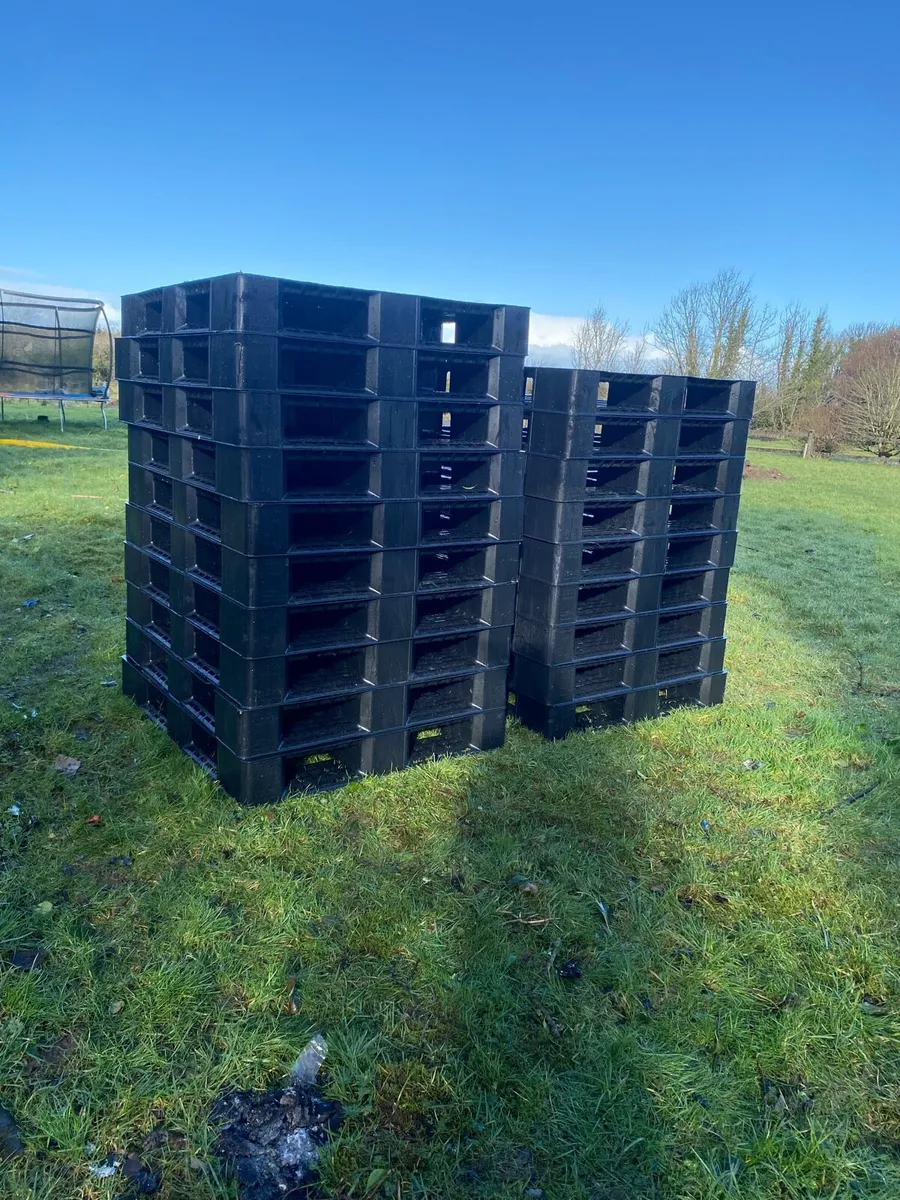 Plastic pallets - Image 1