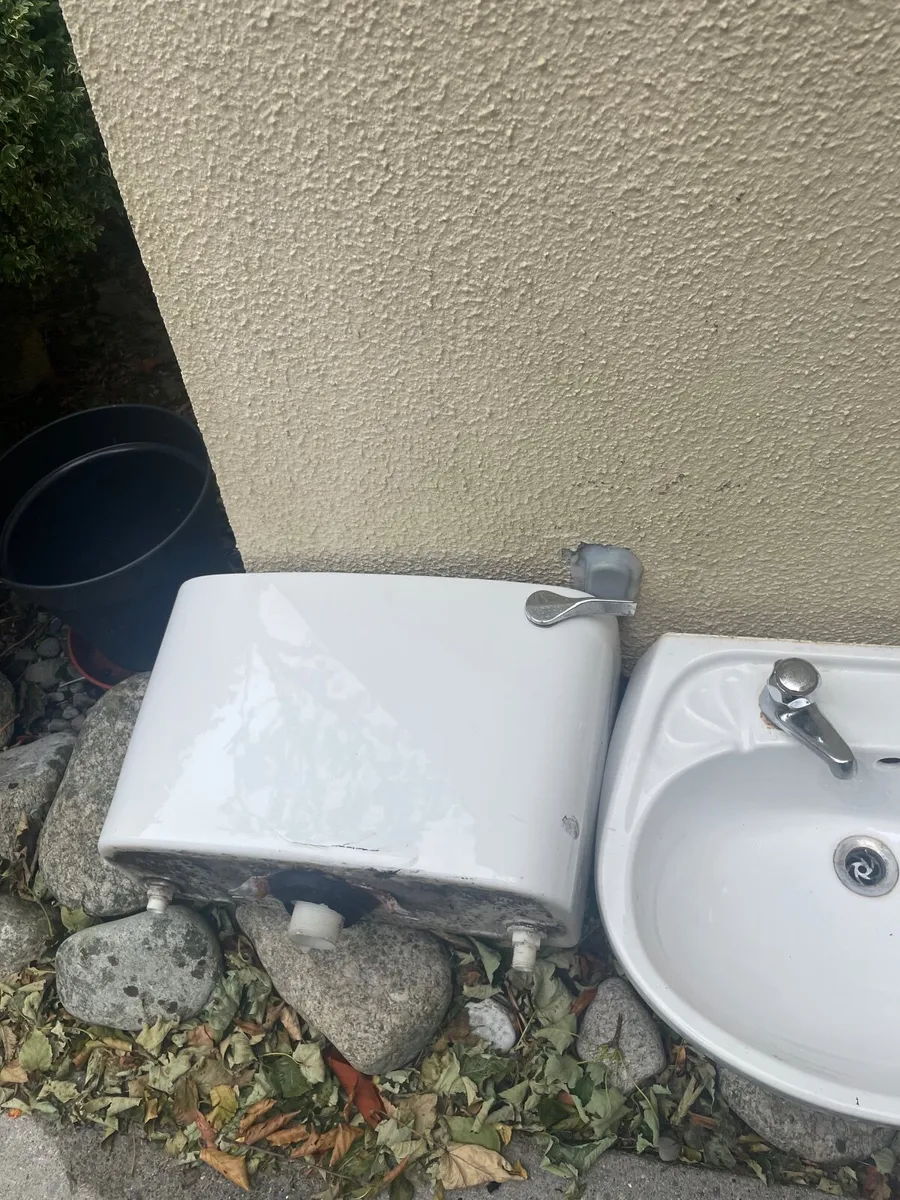 Toilet and Sink - Image 1