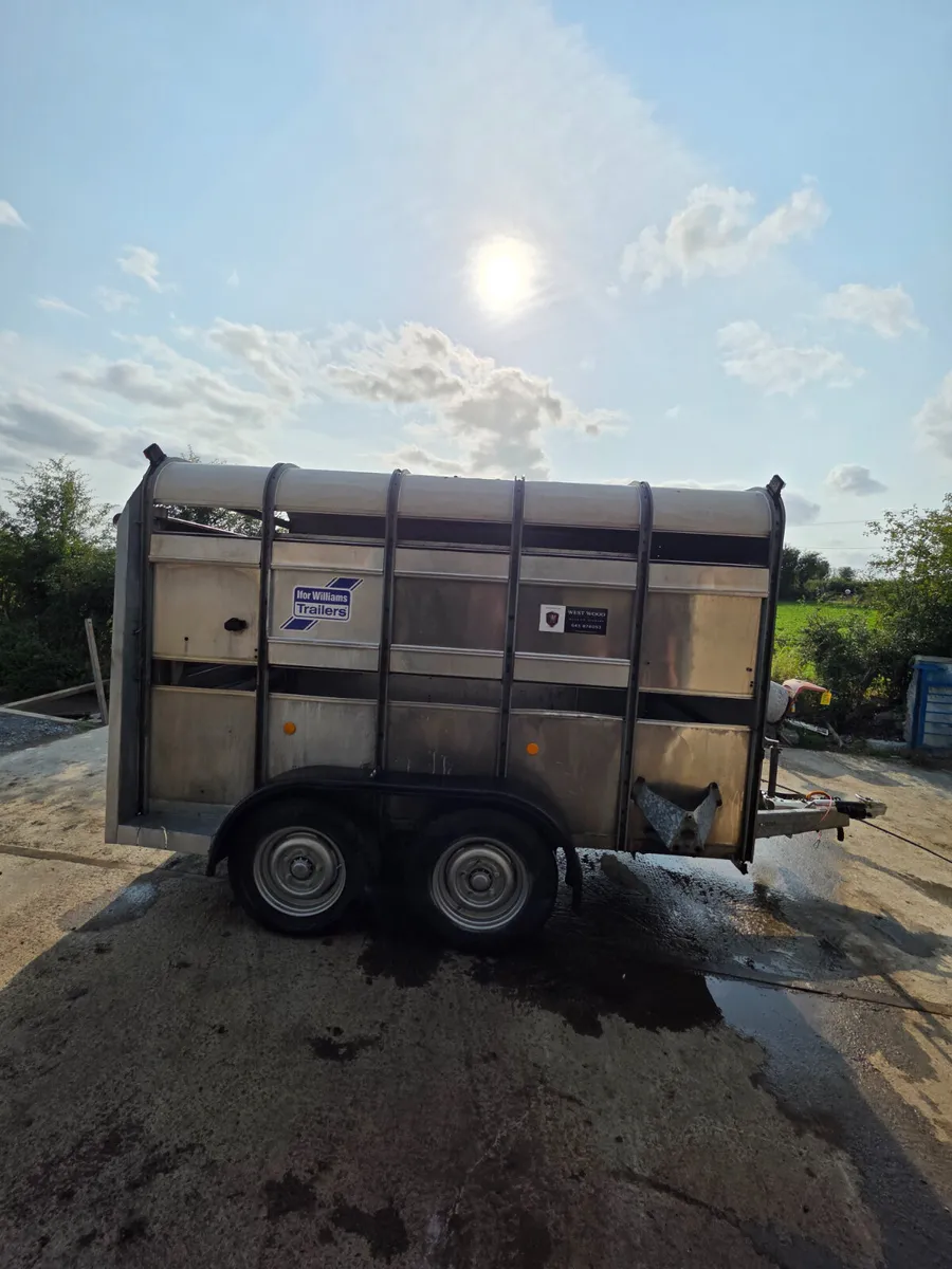 10ft ifor Williams livestock trailer with decks - Image 4