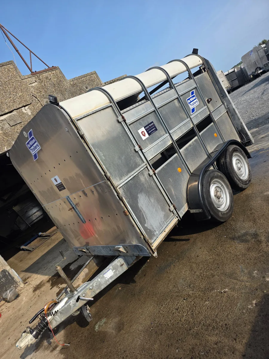 10ft ifor Williams livestock trailer with decks - Image 3