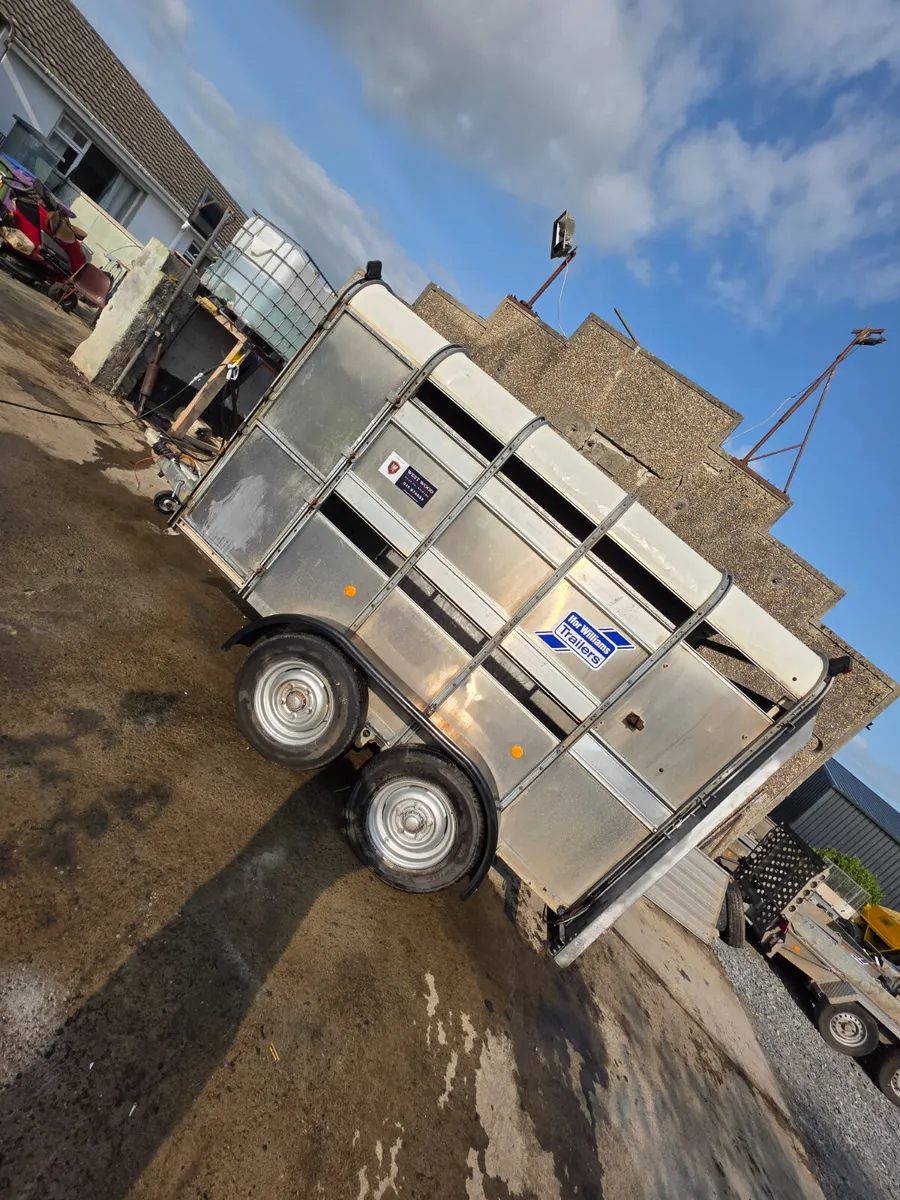10ft ifor Williams livestock trailer with decks - Image 2