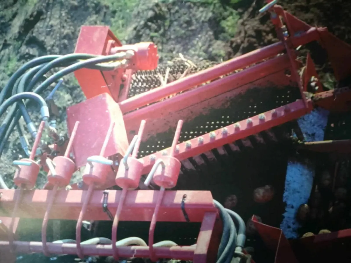 Single Row Potato Harvesters/Row Diggers /Spinners - Image 2