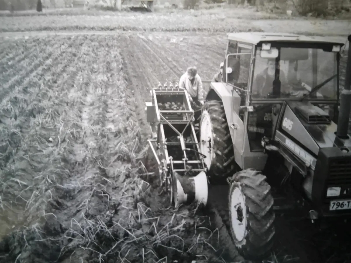 Single Row Potato Harvesters/Row Diggers /Spinners - Image 3