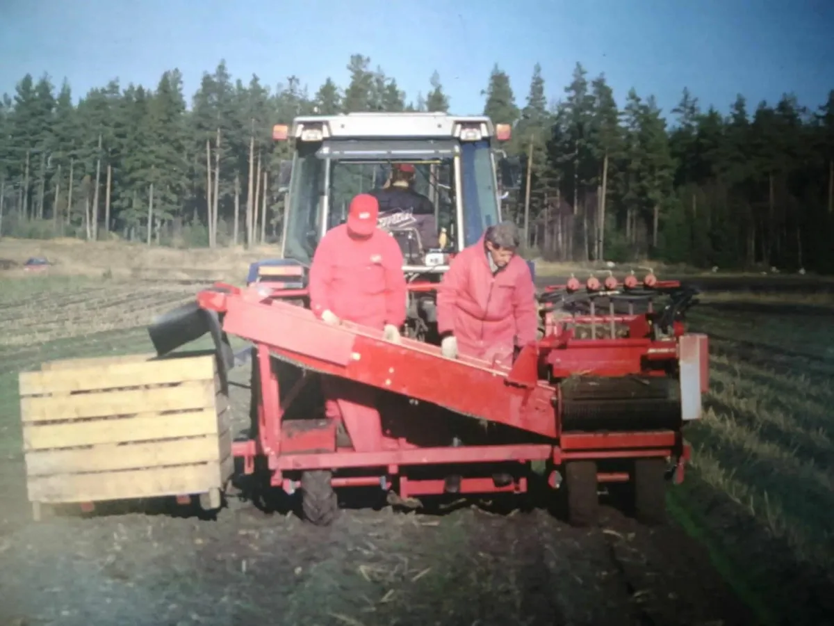 Single Row Potato Harvesters/Row Diggers /Spinners - Image 1