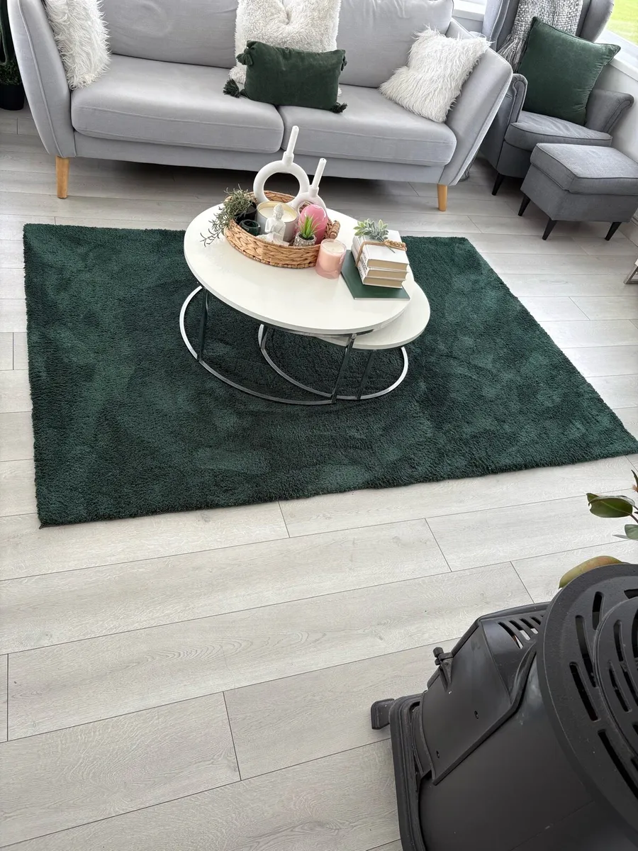 Green Rug - Image 2