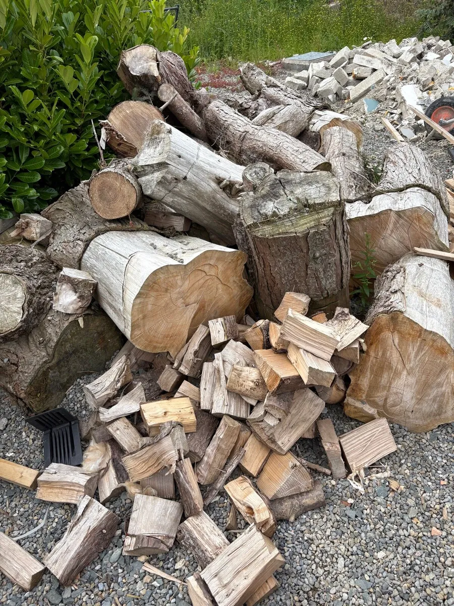 Firewood split and dry - Image 2