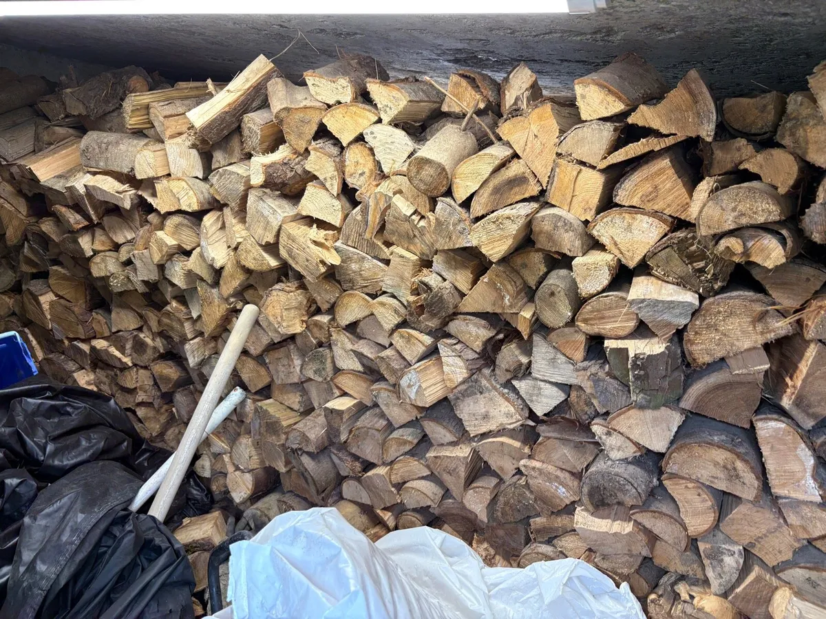 Firewood split and dry - Image 1