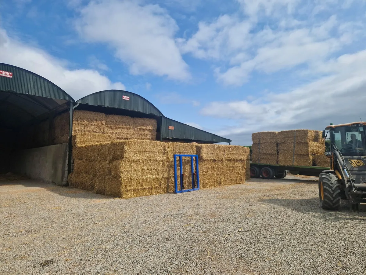 8x4x3  bales of straw - Image 1