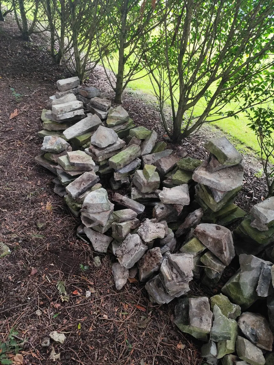 Free stone - Image 1