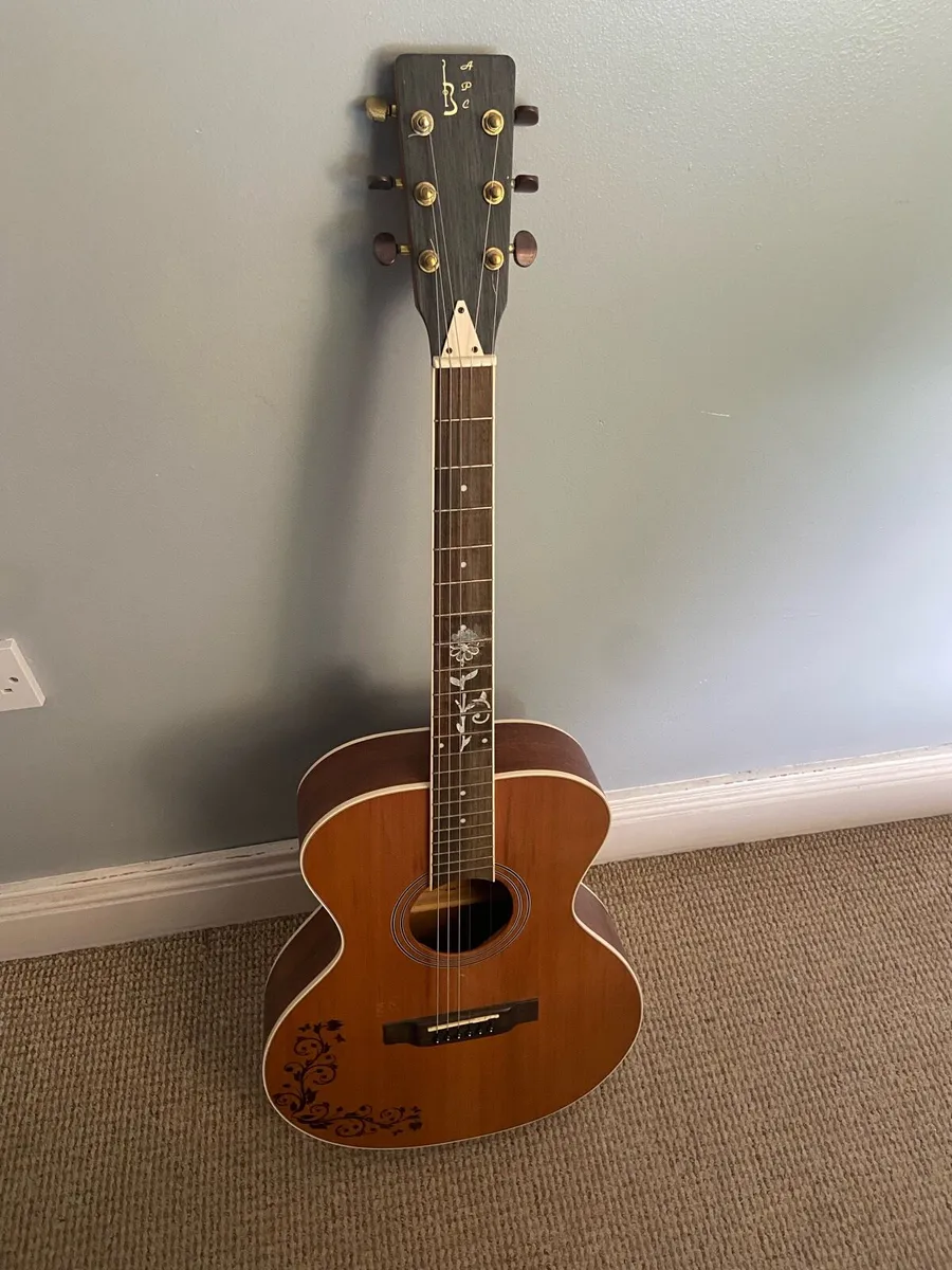 APC GUITAR - Image 1