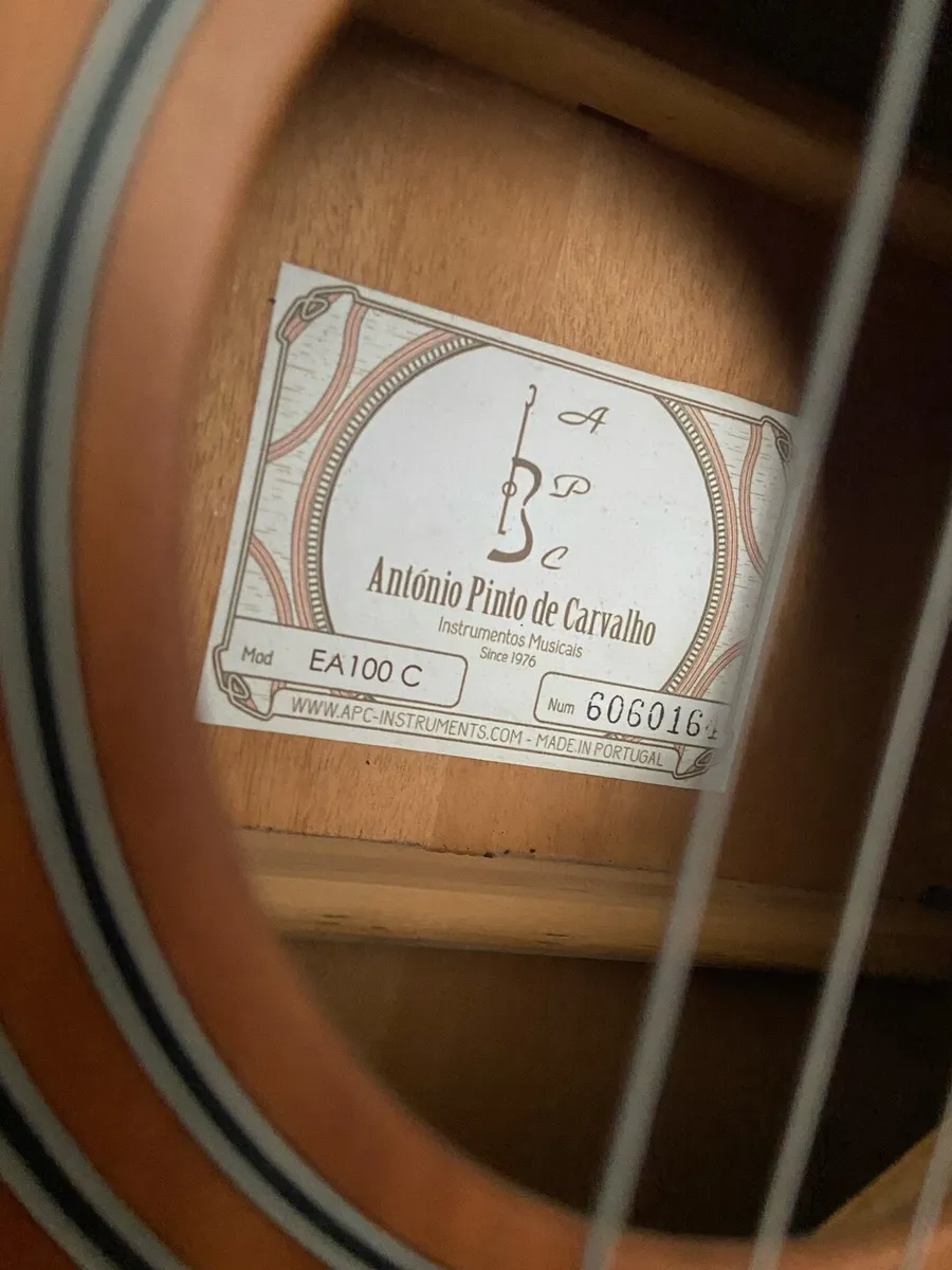 APC GUITAR - Image 2