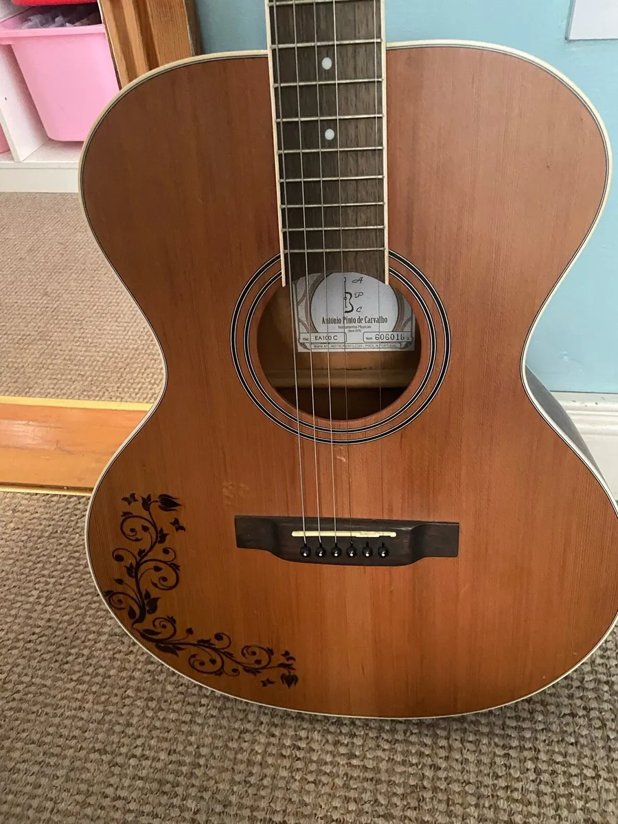 APC GUITAR - Image 3