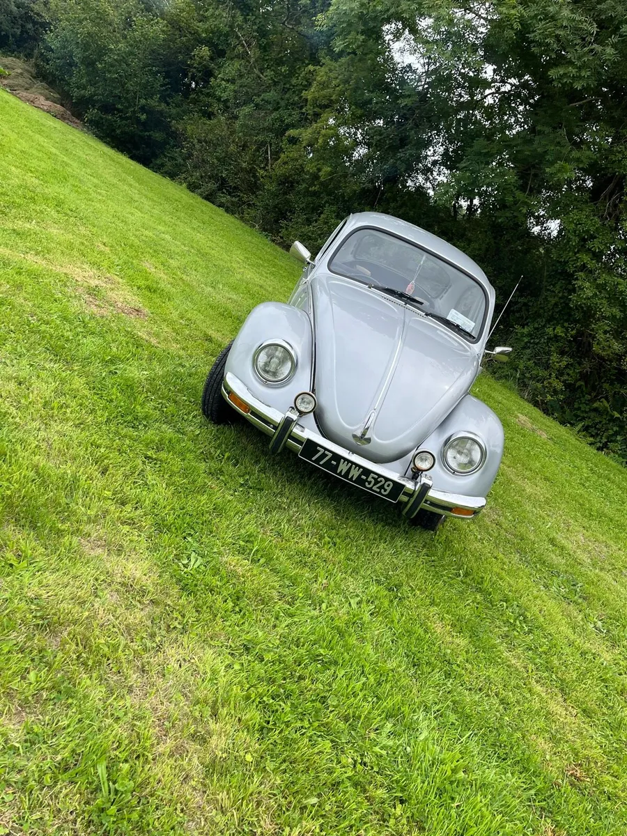1977 vw beetle - Image 2