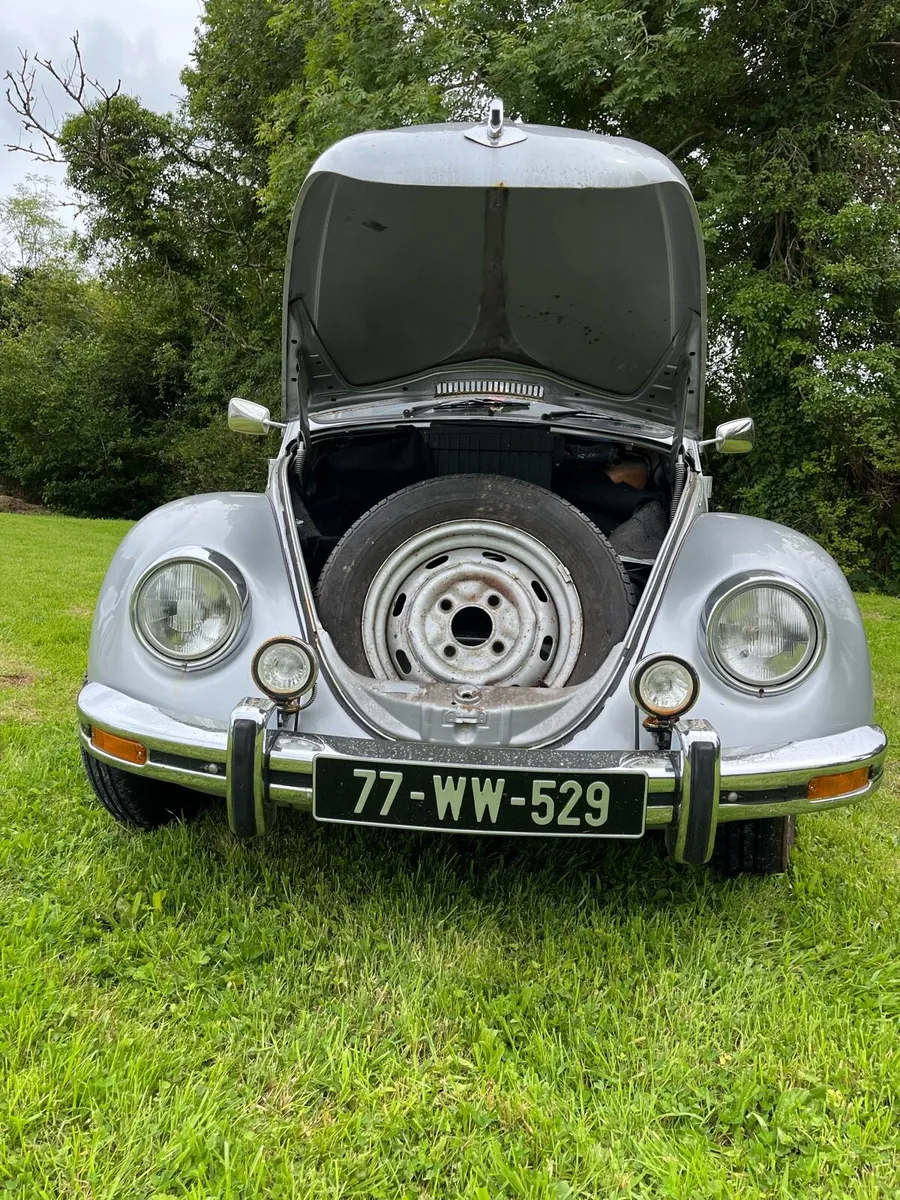 1977 vw beetle - Image 3