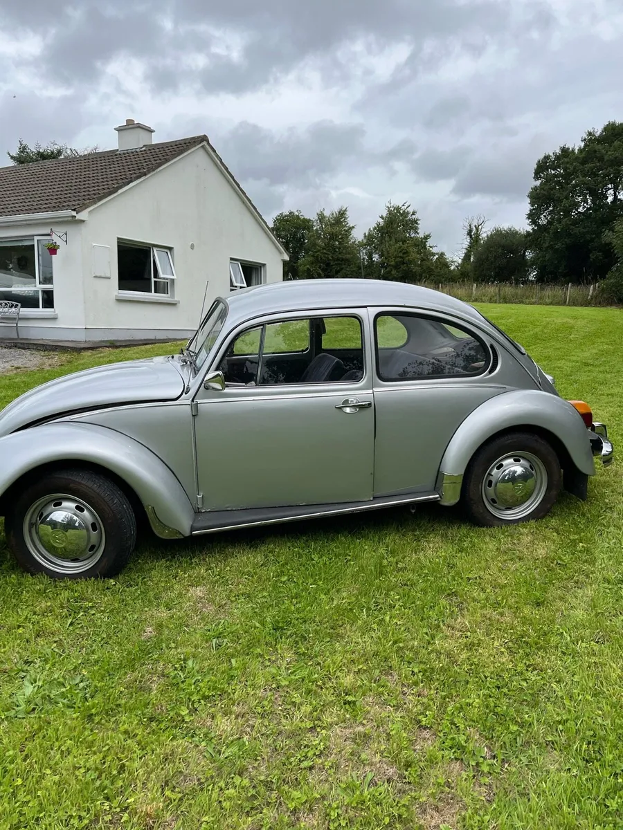 1977 vw beetle - Image 4