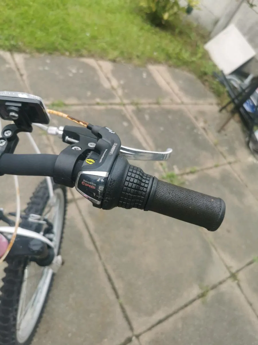 Free bicycle - Image 1