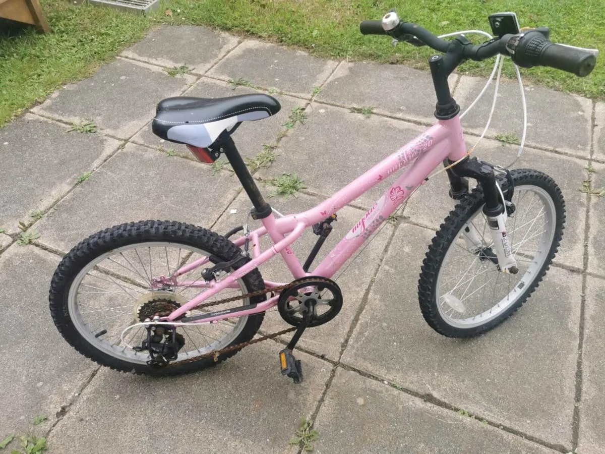 Free bicycle - Image 2