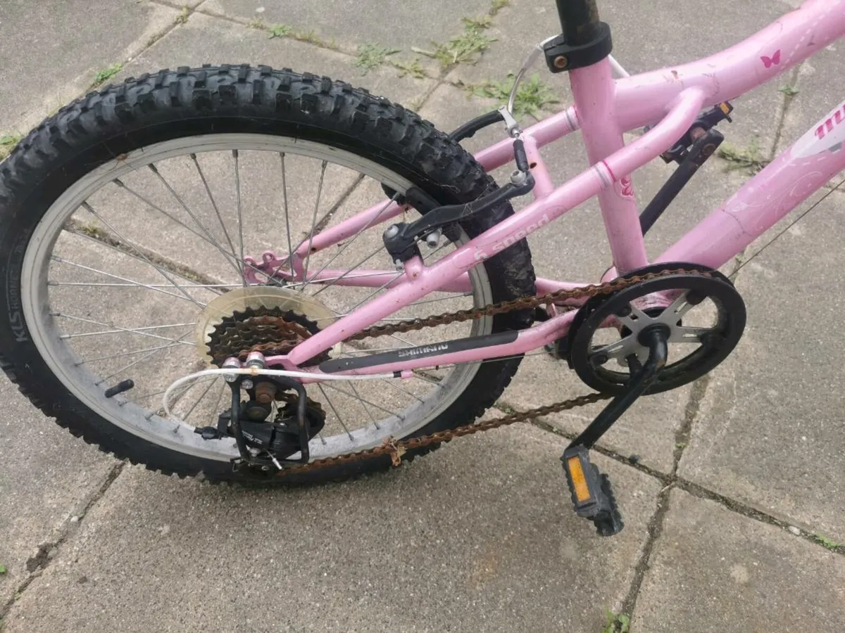 Free bicycle - Image 3