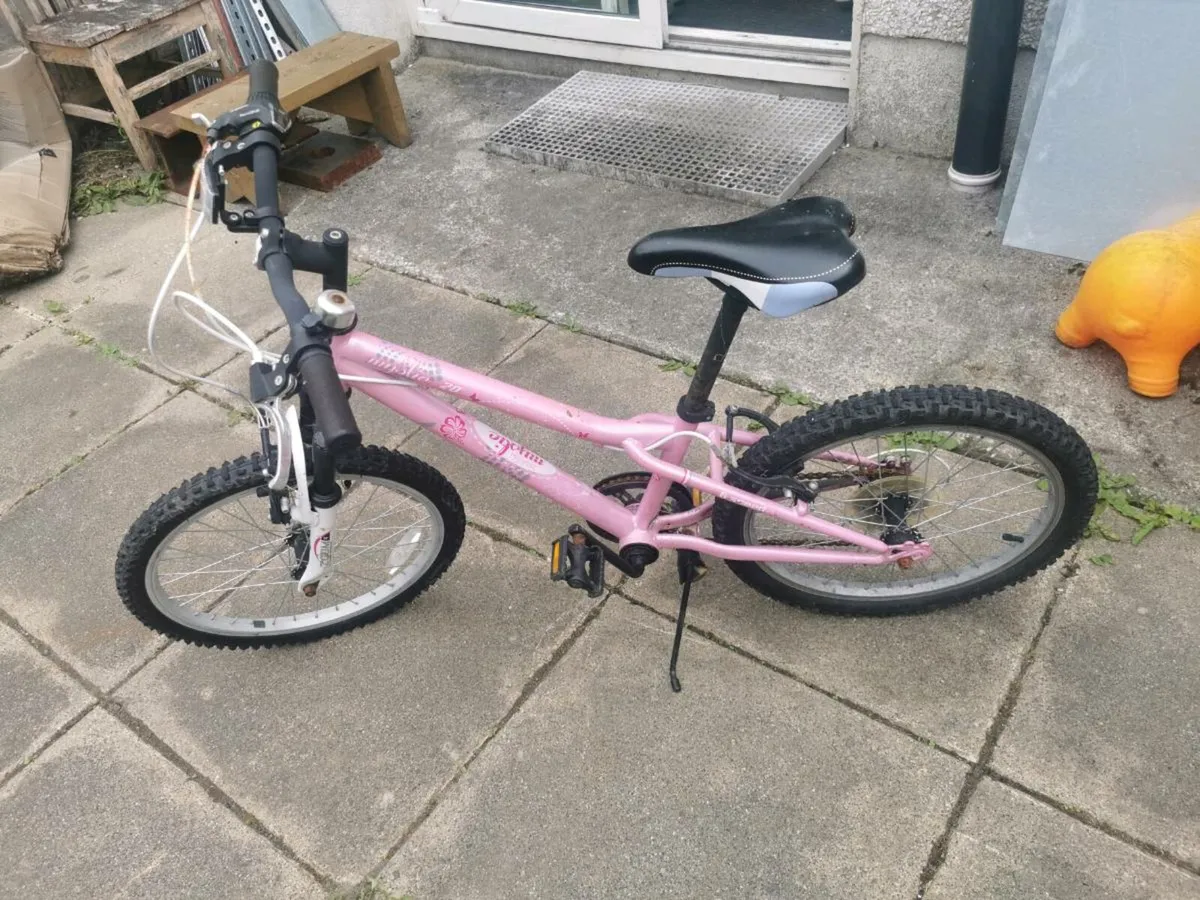 Free bicycle - Image 4